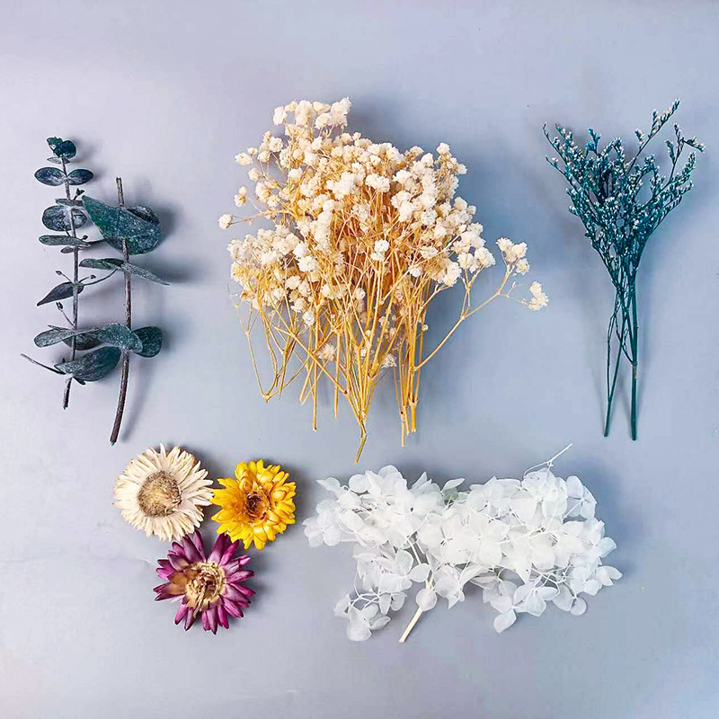 1pack Multifarious Dried Flowe - Craft Embellishments ulasan dan harga