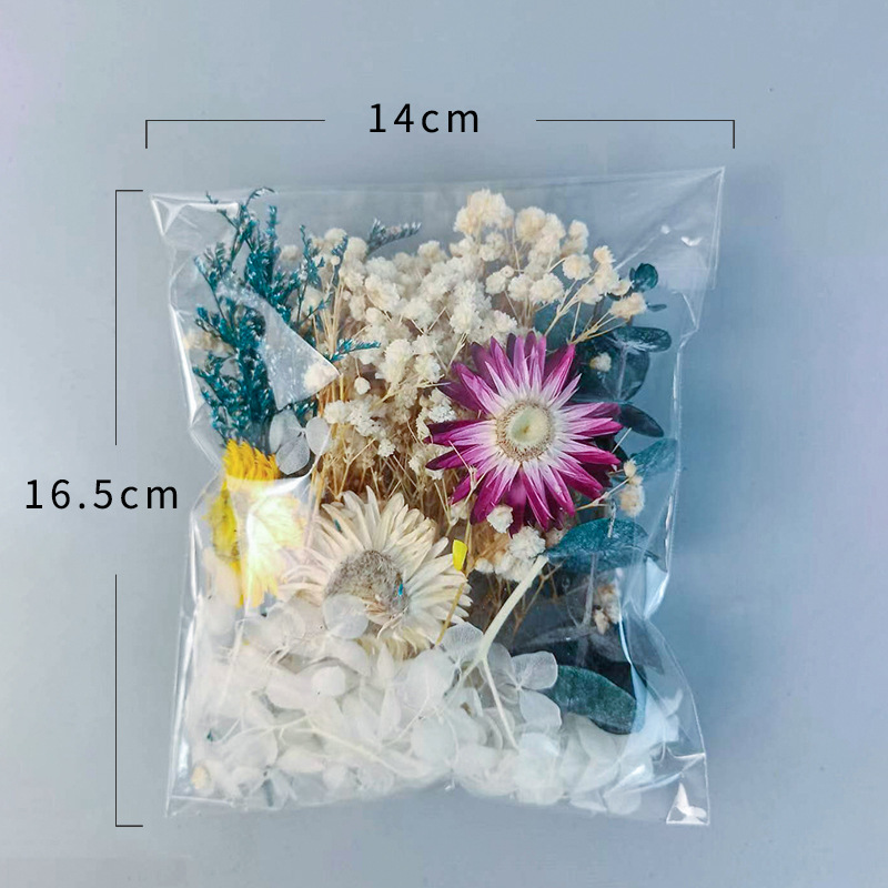 1pack Multifarious Dried Flowe - Craft Embellishments ulasan dan harga