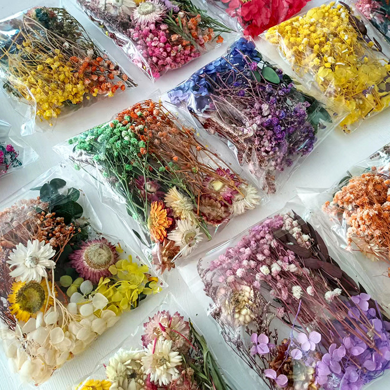 1pack Multifarious Dried Flowe - Craft Embellishments ulasan dan harga