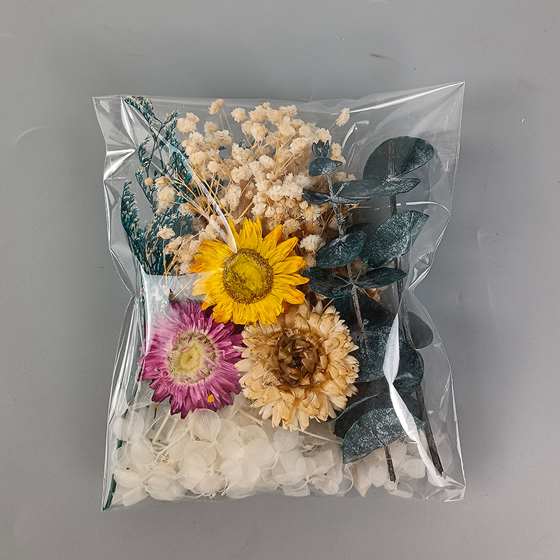 1pack Multifarious Dried Flowe - Craft Embellishments ulasan dan harga